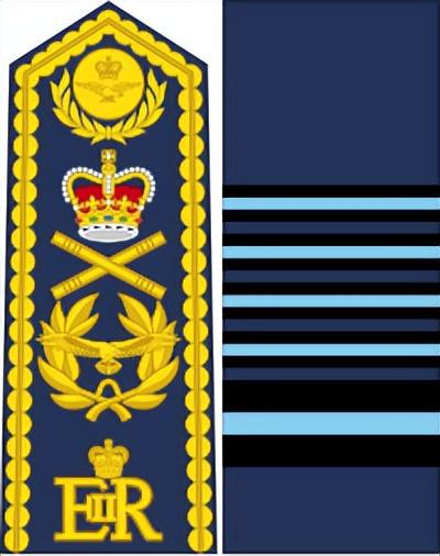 AG九游會(huì )·「中國」官方網(wǎng)站英國皇家空軍軍銜標志詳解