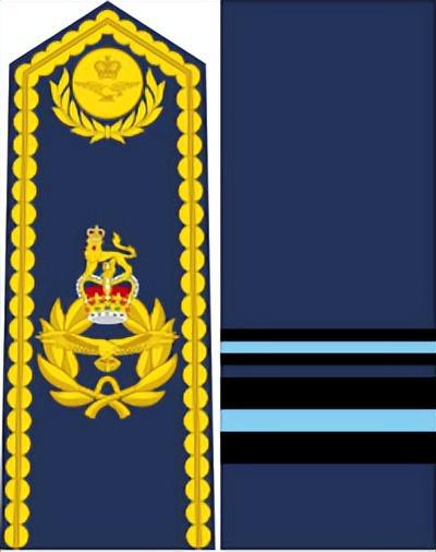 AG九游會(huì )·「中國」官方網(wǎng)站英國皇家空軍軍銜標志詳解(圖8)