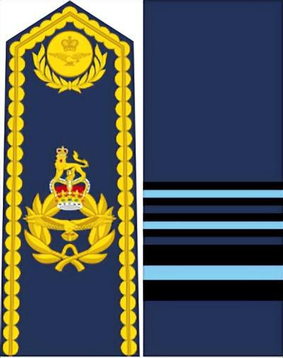 AG九游會(huì )·「中國」官方網(wǎng)站英國皇家空軍軍銜標志詳解(圖6)