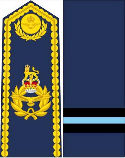AG九游會(huì )·「中國」官方網(wǎng)站英國皇家空軍軍銜標志詳解(圖10)