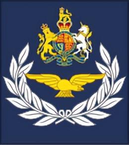 AG九游會(huì )·「中國」官方網(wǎng)站英國皇家空軍軍銜標志詳解(圖24)