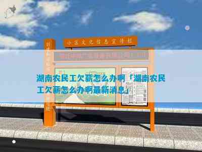 AG九游會(huì )·「中國」官方網(wǎng)站湖南農民工欠薪怎么辦(圖4)