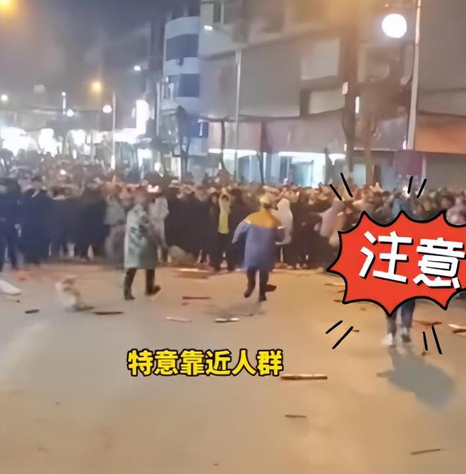 AG九游會(huì )·「中國」官方網(wǎng)站打鐵花失誤后續官方回應設置有安全距離！人群越過(guò)警戒線(xiàn)(圖8)