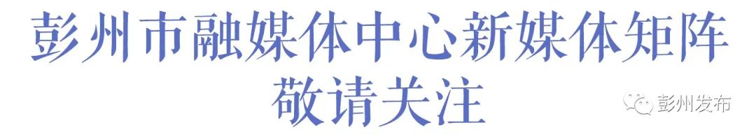 AG九游會(huì )“立園滿(mǎn)園”精準對接！6家“彭州造”工裝生產(chǎn)企業(yè)亮相成都市工裝供需對接(圖10)